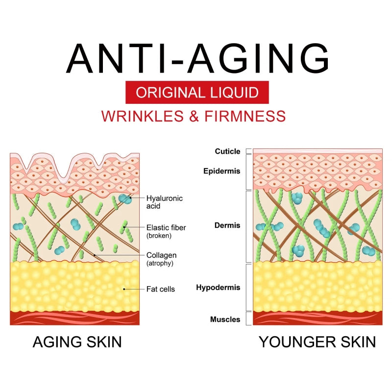 Filling Anti-wrinkle Suit Fading Wrinkle Moisturizing Anti-aging Skin Rejuvenation Firming Water BankCream